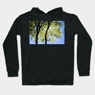 Mosaic Beech Leaves Hoodie